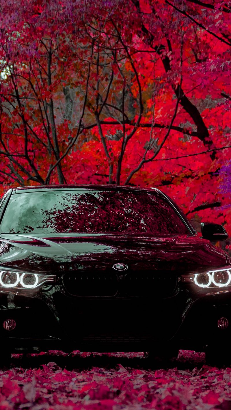 Download Wallpaper 800x1420 Bmw F30 335i Bmw Car Black Front View