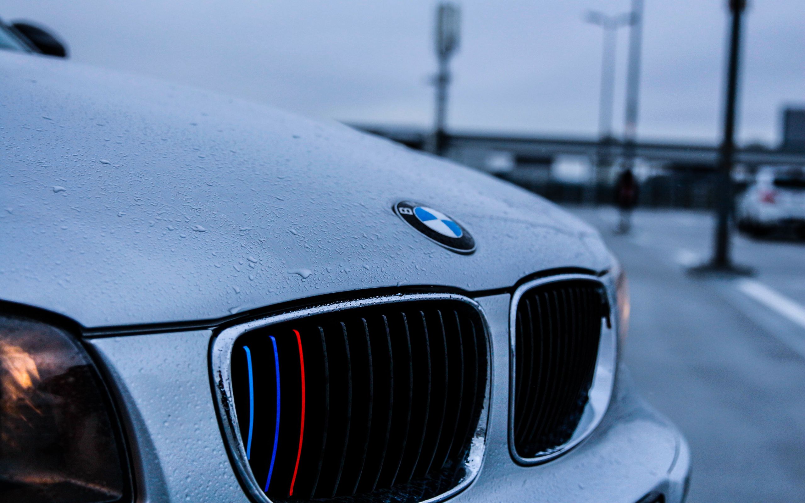 Download wallpaper 2560x1600 bmw, hood, logo, drops widescreen 16:10 hd