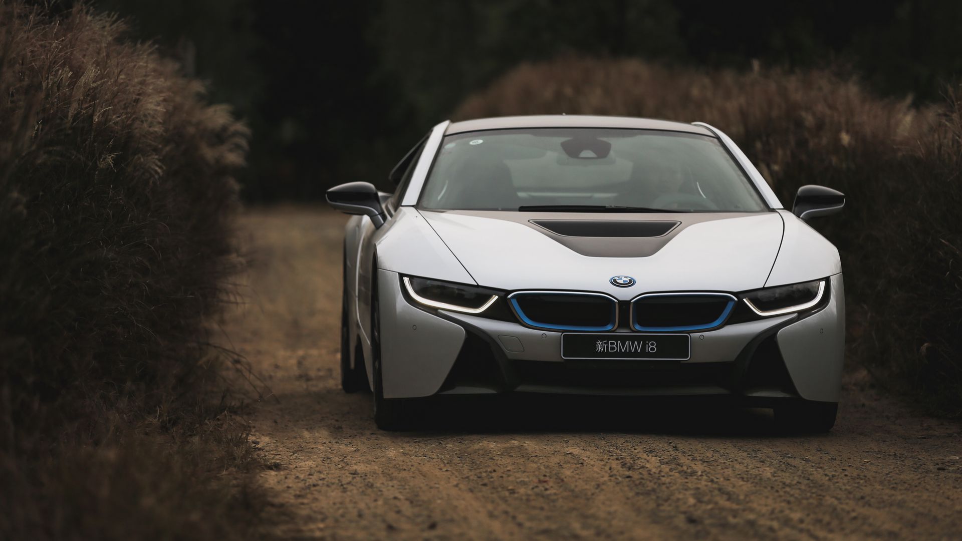 Download Wallpaper 1920x1080 Bmw I8 Bmw Car White Front View Full Hd Hdtv Fhd 1080p Hd