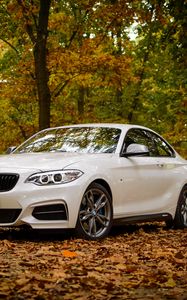 Preview wallpaper bmw m235, bmw, car, white, leaves, autumn