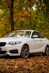 Preview wallpaper bmw m235, bmw, car, white, leaves, autumn