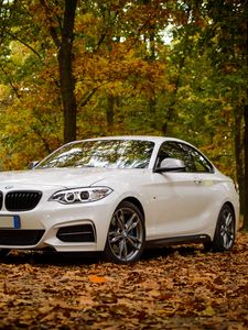 Preview wallpaper bmw m235, bmw, car, white, leaves, autumn