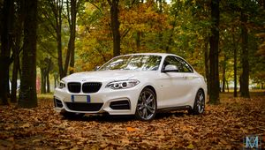 Preview wallpaper bmw m235, bmw, car, white, leaves, autumn