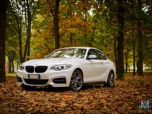 Preview wallpaper bmw m235, bmw, car, white, leaves, autumn