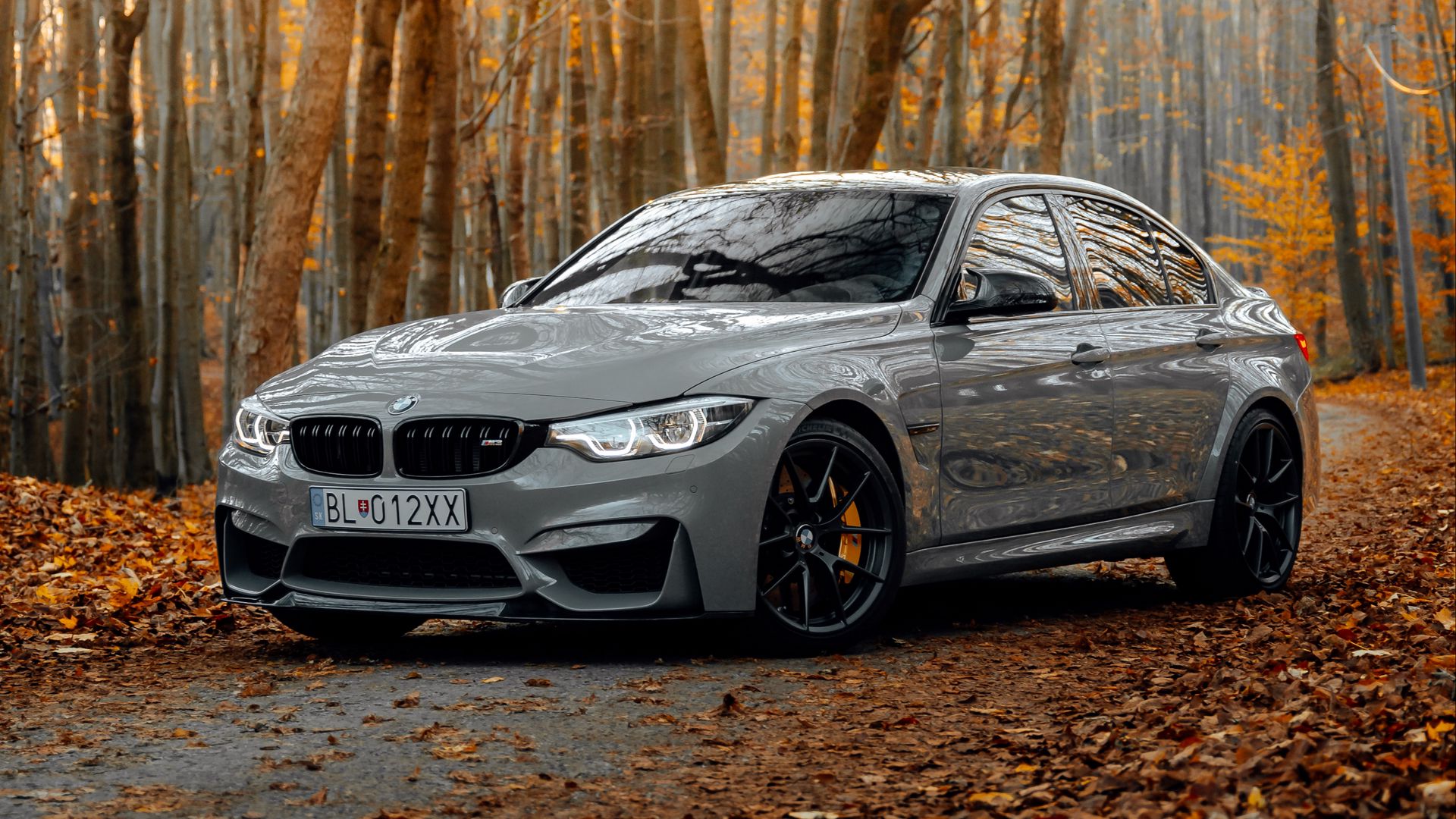 Download wallpaper 1920x1080 bmw m3, bmw, car, gray, side view, forest