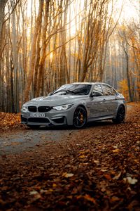 Preview wallpaper bmw m3, bmw, car, gray, side view, forest, autumn