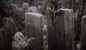 Preview wallpaper boards, fence, hoarfrost, grass