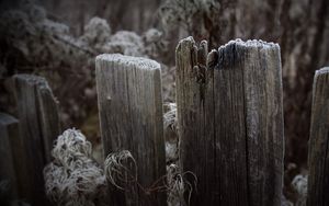 Preview wallpaper boards, fence, hoarfrost, grass