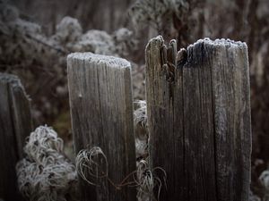 Preview wallpaper boards, fence, hoarfrost, grass