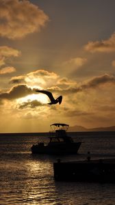 Preview wallpaper boat, bird, silhouette, sea, twilight, dark