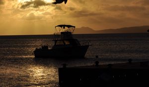 Preview wallpaper boat, bird, silhouette, sea, twilight, dark