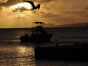 Preview wallpaper boat, bird, silhouette, sea, twilight, dark