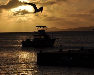 Preview wallpaper boat, bird, silhouette, sea, twilight, dark