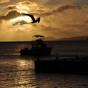 Preview wallpaper boat, bird, silhouette, sea, twilight, dark
