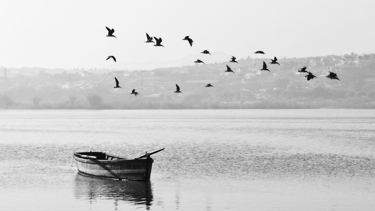 Wallpaper boat, birds, bw, horizon
