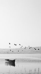 Preview wallpaper boat, birds, bw, horizon