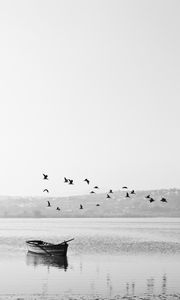 Preview wallpaper boat, birds, bw, horizon