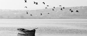 Preview wallpaper boat, birds, bw, horizon