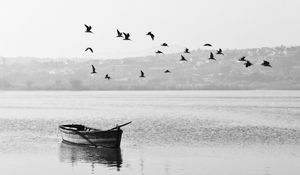 Preview wallpaper boat, birds, bw, horizon
