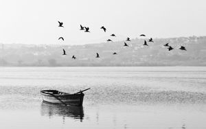 Preview wallpaper boat, birds, bw, horizon