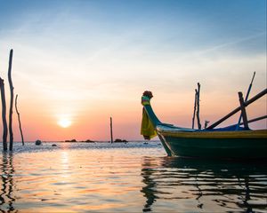 Preview wallpaper boat, branches, water, sunset