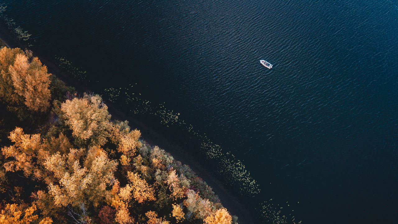 Wallpaper boat, coast, aerial view, trees