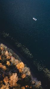 Preview wallpaper boat, coast, aerial view, trees