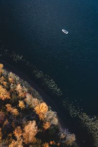 Preview wallpaper boat, coast, aerial view, trees