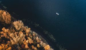 Preview wallpaper boat, coast, aerial view, trees