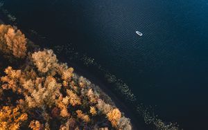 Preview wallpaper boat, coast, aerial view, trees