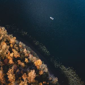 Preview wallpaper boat, coast, aerial view, trees