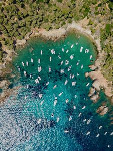 Preview wallpaper boat, coast, aerial view, sea