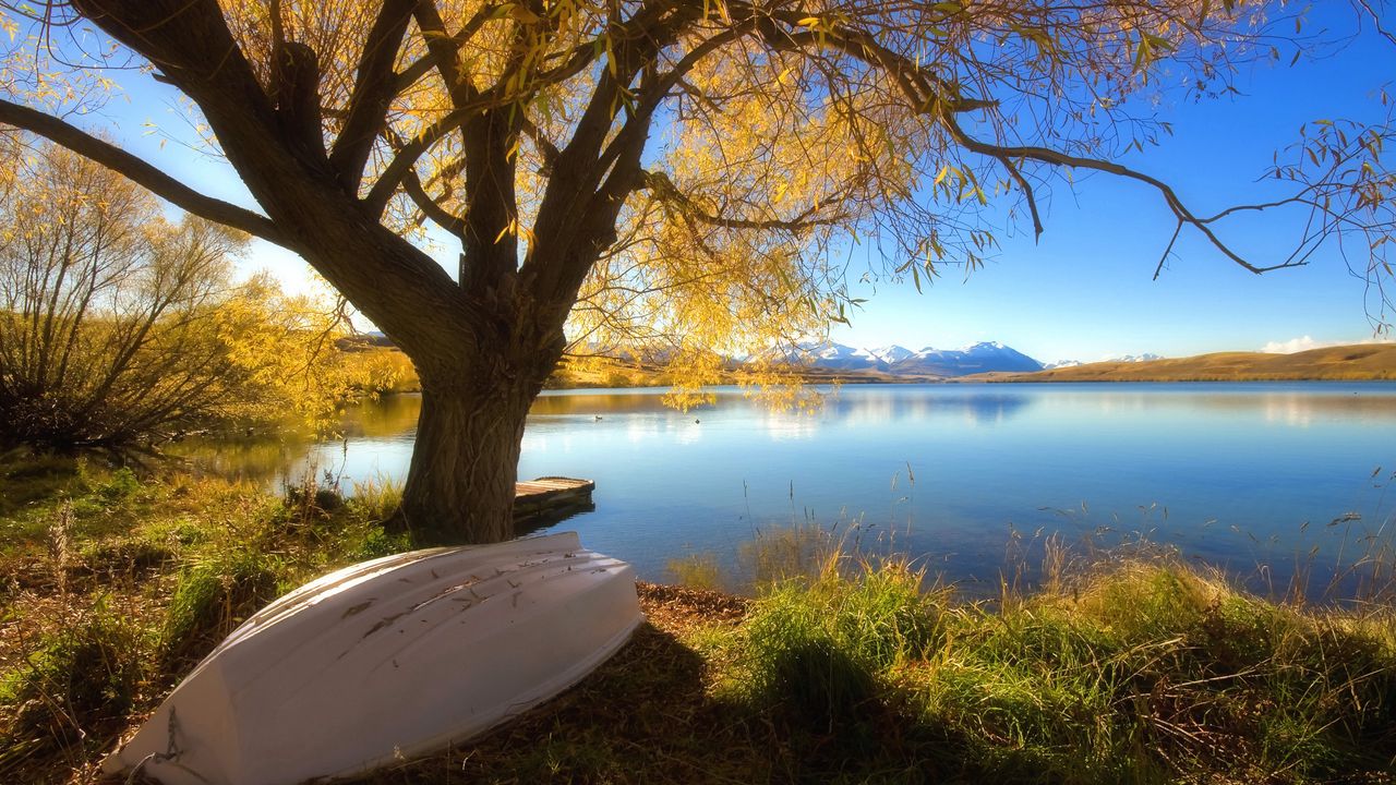 Wallpaper boat, coast, lake, tree