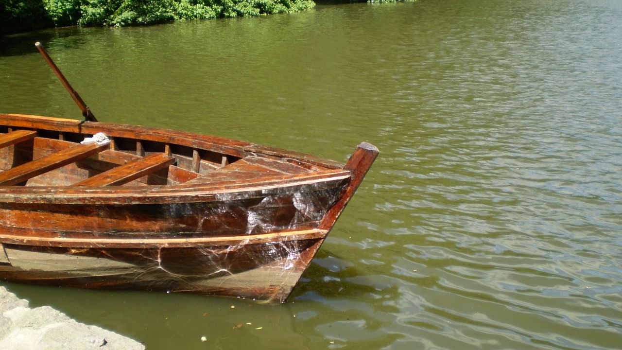 Wallpaper boat, coast, oars, water, reflections, solarly