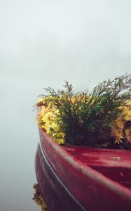 Preview wallpaper boat, flowers, fog, tenderness, minimalism
