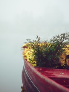 Preview wallpaper boat, flowers, fog, tenderness, minimalism