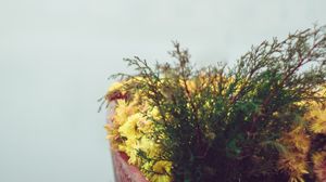 Preview wallpaper boat, flowers, fog, tenderness, minimalism