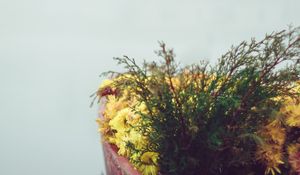 Preview wallpaper boat, flowers, fog, tenderness, minimalism