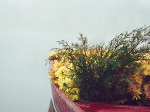 Preview wallpaper boat, flowers, fog, tenderness, minimalism