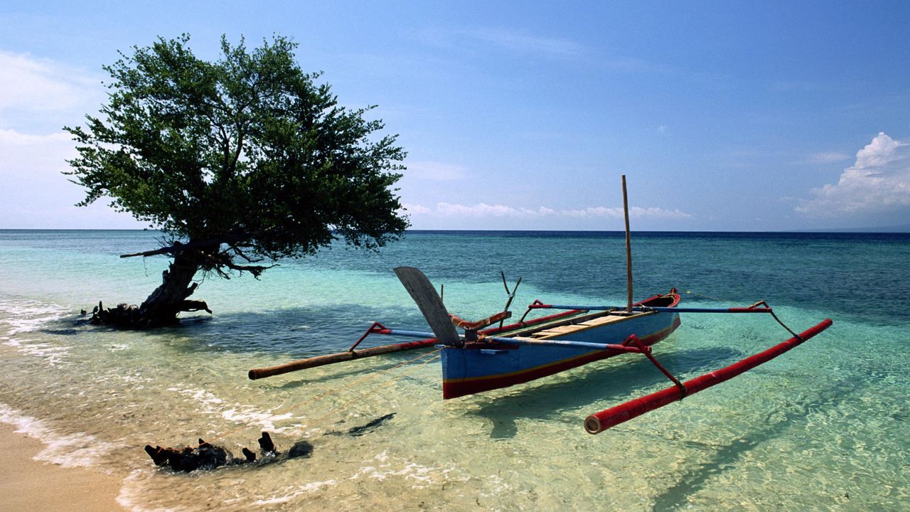 Wallpaper boat, gulf, beach, water, transparent, tree, coast, sand
