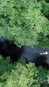 Preview wallpaper boat, kayak, river, aerial view, trees