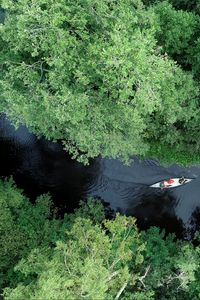 Preview wallpaper boat, kayak, river, aerial view, trees