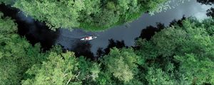 Preview wallpaper boat, kayak, river, aerial view, trees