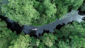 Preview wallpaper boat, kayak, river, aerial view, trees