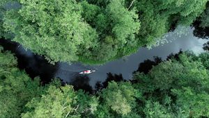 Preview wallpaper boat, kayak, river, aerial view, trees