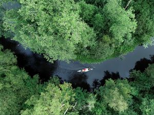 Preview wallpaper boat, kayak, river, aerial view, trees