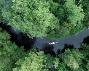 Preview wallpaper boat, kayak, river, aerial view, trees