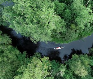 Preview wallpaper boat, kayak, river, aerial view, trees