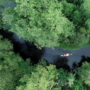 Preview wallpaper boat, kayak, river, aerial view, trees