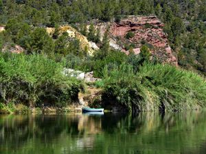 Preview wallpaper boat, lake, shore, bushes, trees, nature